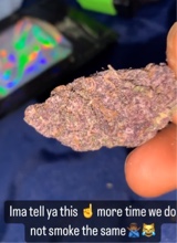 Guest_SMOKINDead0PPs