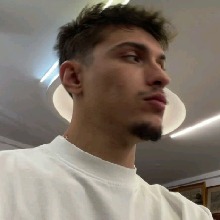 annoyingdodgerbl2ddd