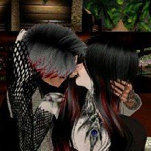 Guest_WolfNight4
