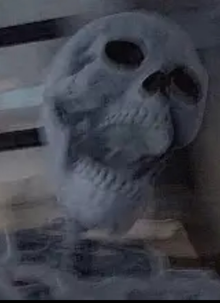 Guest_XxLazyboyxX