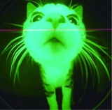 Guest_adrienthealien