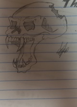 Guest_Laylonie229