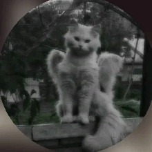 Spookybaby0609