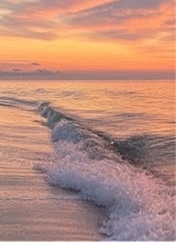 Guest_aquamaria21