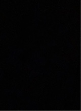 Guest_Shadne1