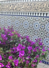 Guest_elasrl