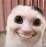tmzzjada
