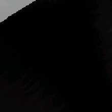 Guest_Ale1125
