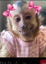 zilesyy