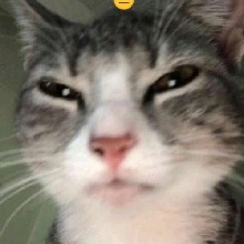 Guest_w0nxxie