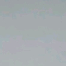 Guest_Manuvnz