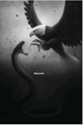 Guest_ElCapo11