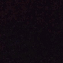 Guest_LeonelBrad