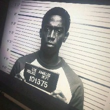 Guest_grayaquamarined2ad