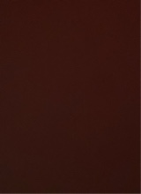 صورة الـavatar