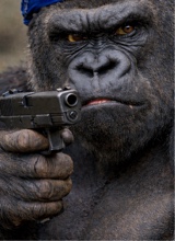 Guest_Ynebigrhino1