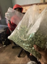Guest_Traysteppa00