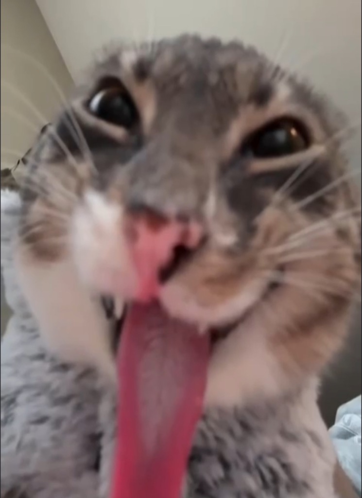 Guest_preppyclaws11