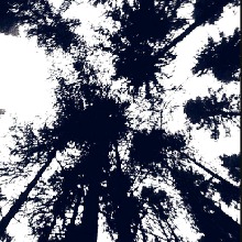 Guest_bistregreenf06a