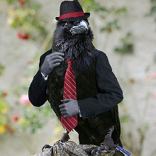Guest_Cuervoll