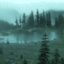 Guest_jximx