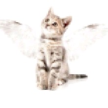 Guest_littleflowerrockstar