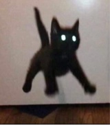 Guest_L0v3rsN3v3rWin