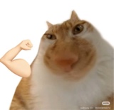 Hempt