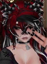 Guest_Ashley6287