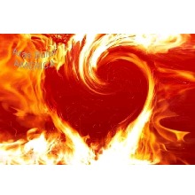 Guest_TATIANA247572