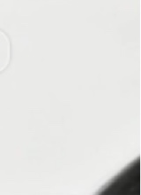 immagine avatar