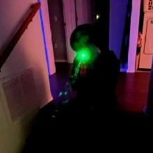 Guest_preston312152