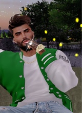ZllB