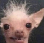Guest_Kingjayyy09
