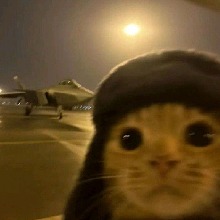 Guest_Nildson