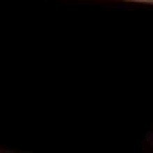 Guest_Emilly699400