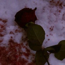 Guest_Suun13