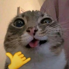 Tri