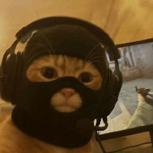 Guest_fxptrem2
