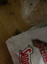 Guest_757Est