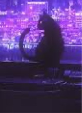 Guest_Diamond199325