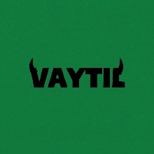 Guest_Vayyli