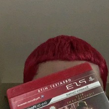 Guest_executador