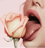 Guest_Yailin124530