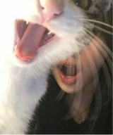foto del avatar