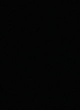 Guest_MihBarros5
