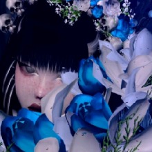 Guest_TheDarkMysterious