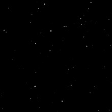 Guest_Biel403950