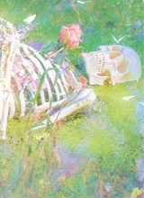 Guest_Roma47