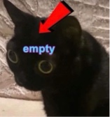Guest_turt1e